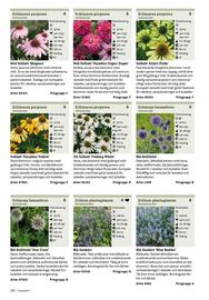 Granngården kampanjblad Sida 218