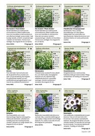 Granngården kampanjblad Sida 219