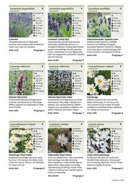 Granngården kampanjblad Sida 223