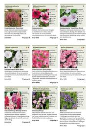 Granngården kampanjblad Sida 224