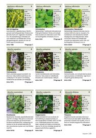 Granngården kampanjblad Sida 225