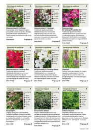 Granngården kampanjblad Sida 227