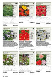 Granngården kampanjblad Sida 228