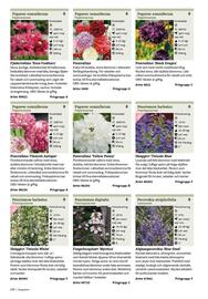 Granngården kampanjblad Sida 230