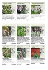 Granngården kampanjblad Sida 232