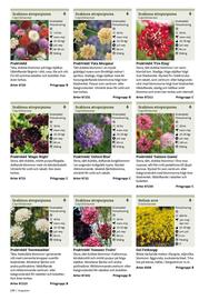 Granngården kampanjblad Sida 234