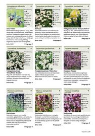 Granngården kampanjblad Sida 235