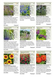 Granngården kampanjblad Sida 237