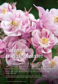 Granngården kampanjblad Sida 239