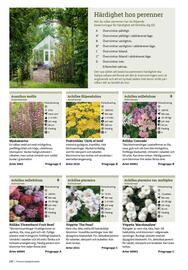 Granngården kampanjblad Sida 240
