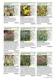 Granngården kampanjblad Sida 241