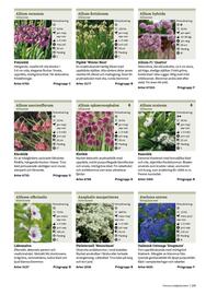 Granngården kampanjblad Sida 243