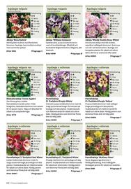 Granngården kampanjblad Sida 246