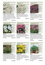 Granngården kampanjblad Sida 247