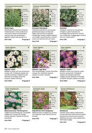 Granngården kampanjblad Sida 248