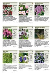 Granngården kampanjblad Sida 250