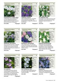 Granngården kampanjblad Sida 251