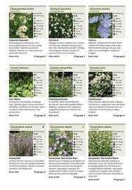 Granngården kampanjblad Sida 253
