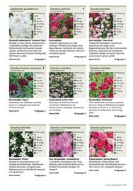 Granngården kampanjblad Sida 257