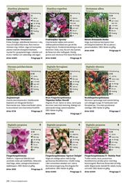 Granngården kampanjblad Sida 258