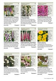 Granngården kampanjblad Sida 259