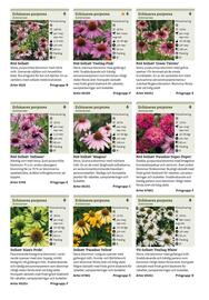 Granngården kampanjblad Sida 260