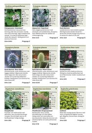 Granngården kampanjblad Sida 262