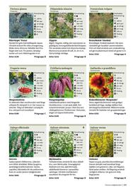 Granngården kampanjblad Sida 263