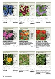 Granngården kampanjblad Sida 264