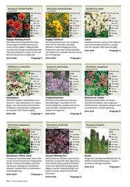 Granngården kampanjblad Sida 266