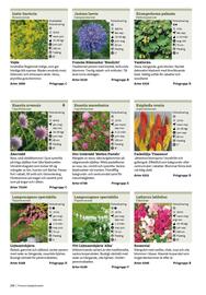 Granngården kampanjblad Sida 268