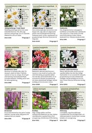 Granngården kampanjblad Sida 270