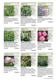 Granngården kampanjblad Sida 275