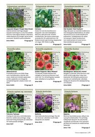 Granngården kampanjblad Sida 279