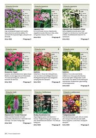 Granngården kampanjblad Sida 280