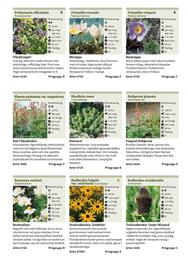 Granngården kampanjblad Sida 281