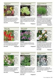 Granngården kampanjblad Sida 285