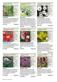 Granngården kampanjblad Sida 286