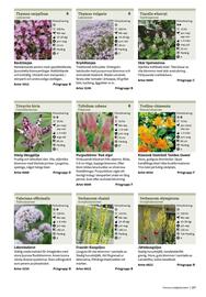 Granngården kampanjblad Sida 287