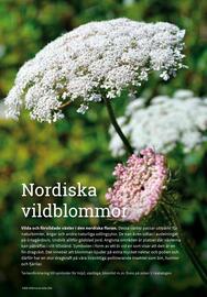 Granngården kampanjblad Sida 291