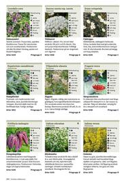 Granngården kampanjblad Sida 294