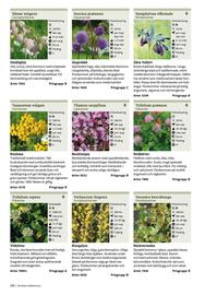 Granngården kampanjblad Sida 298