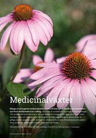 Granngården kampanjblad Sida 301