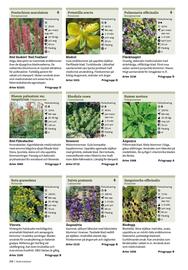 Granngården kampanjblad Sida 308