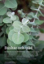 Granngården kampanjblad Sida 311