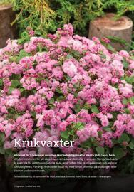 Granngården kampanjblad Sida 315