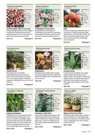Granngården kampanjblad Sida 319