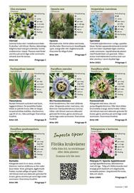 Granngården kampanjblad Sida 323