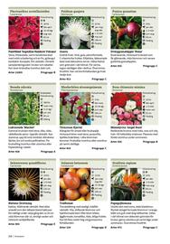 Granngården kampanjblad Sida 326