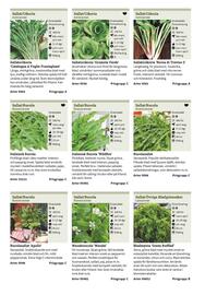 Granngården kampanjblad Sida 54